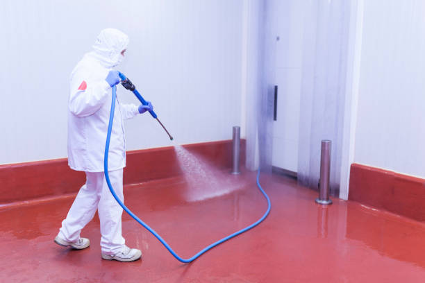 Best Sidewalk and Walkway Cleaning  in Texas City, TX