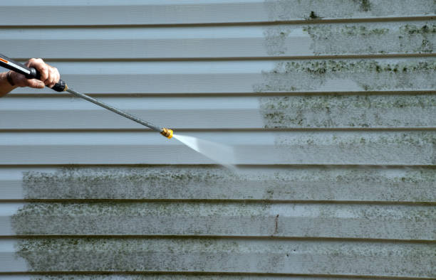 Best Driveway Pressure Washing  in Texas City, TX